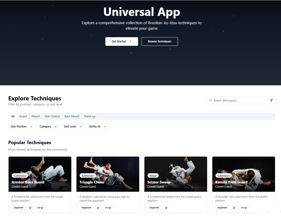 BJJ technique knowledge base interface